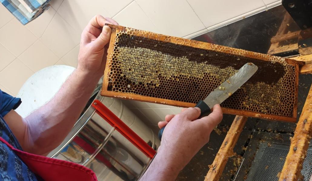 miele azienda agricola dreosti corrado