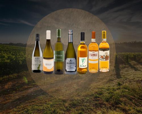 vini bianchi friulani