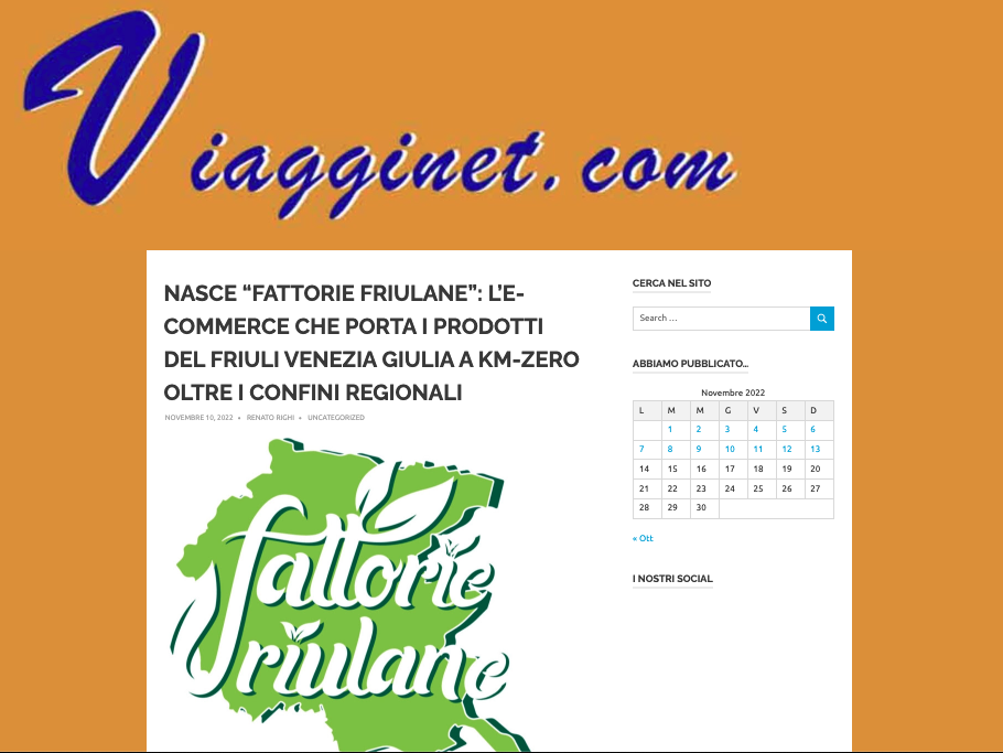 viagginet.com