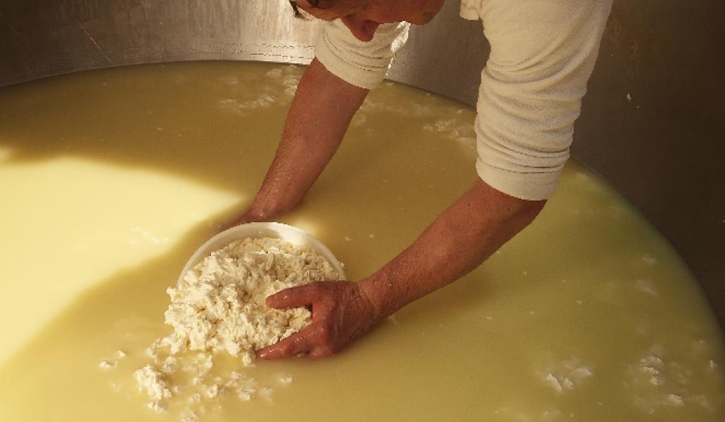 lavorazioni caseificio sociale alto but