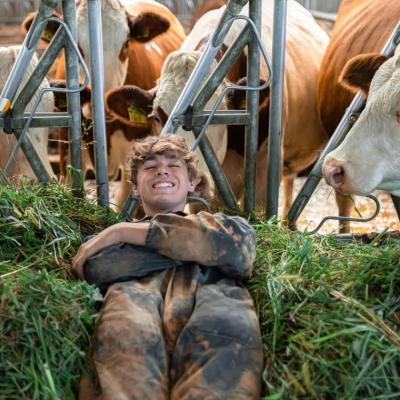 La fattoria di pavia