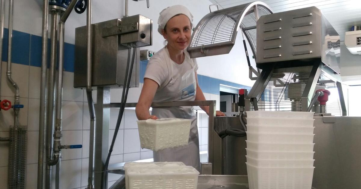 formaggi di capra azienda agricola zore