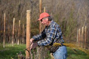 azienda agricola di gaspero flavia e umberto