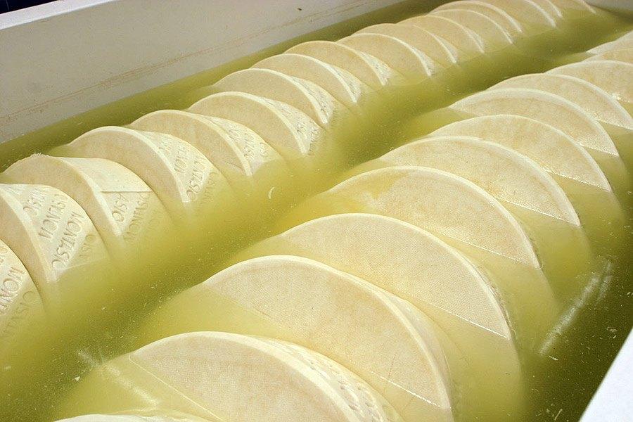 Montasio della Savia