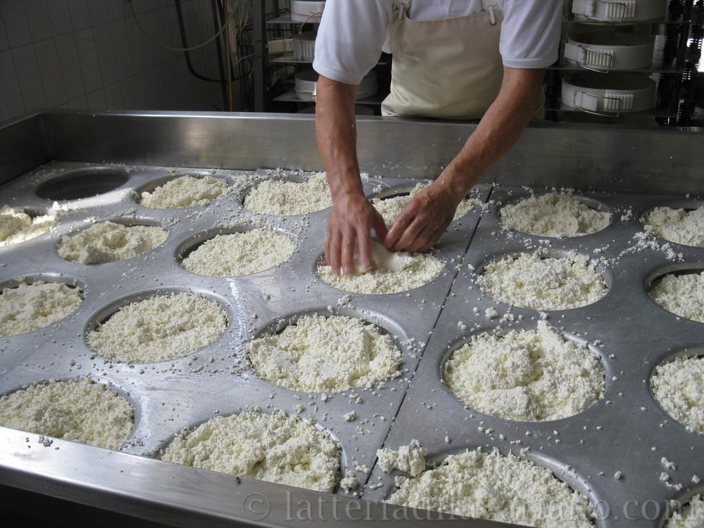 latteria sociale turnaria di lavariano