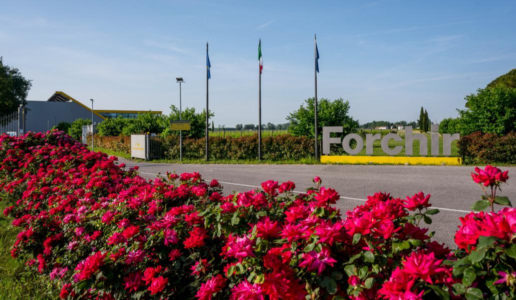 azienda forchir viticoltori in friuli