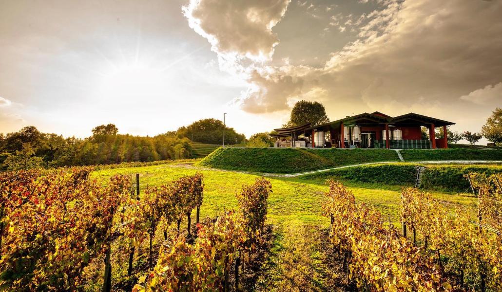 azienda ermacora dario e luciano