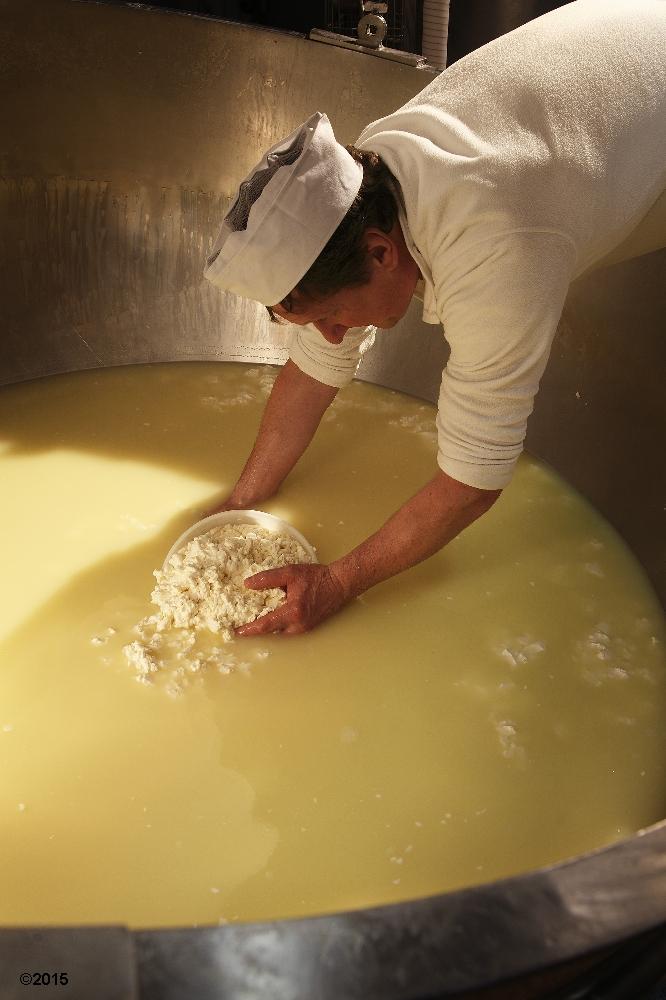 lavorazioni caseificio sociale alto but