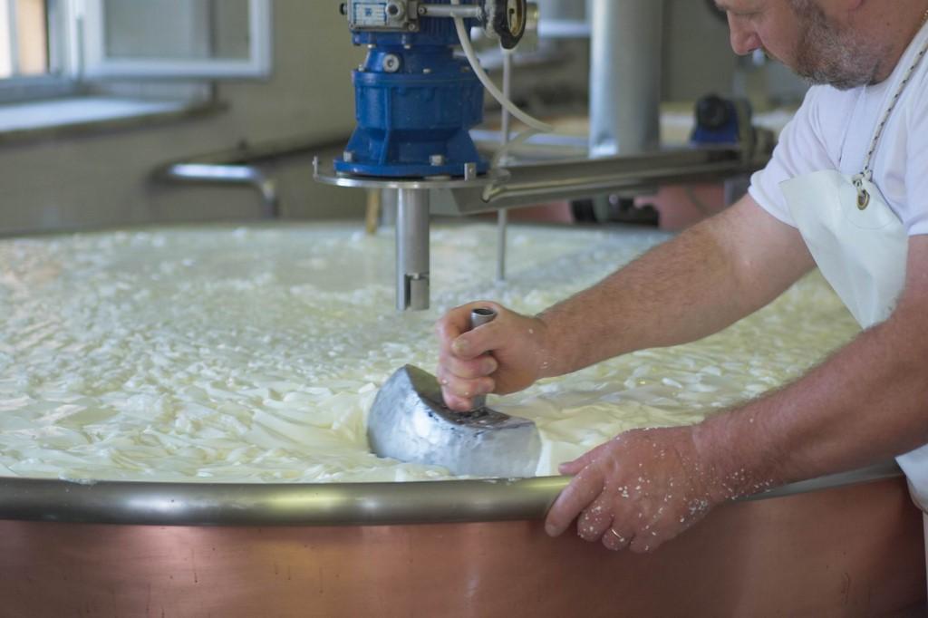 latteria di fagagna borgo paludo