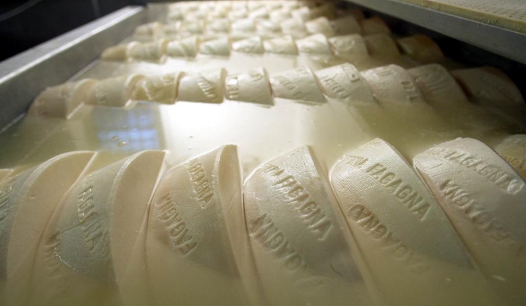 latteria di fagagna borgo paludo