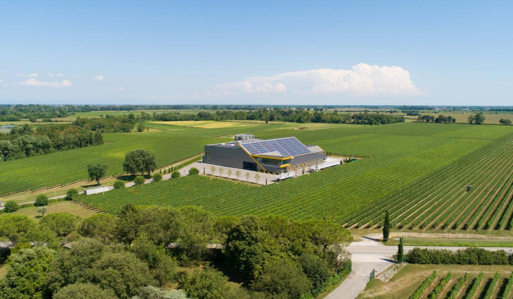 azienda forchir viticoltori in friuli