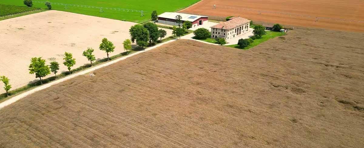 Azienda agricola Tellan