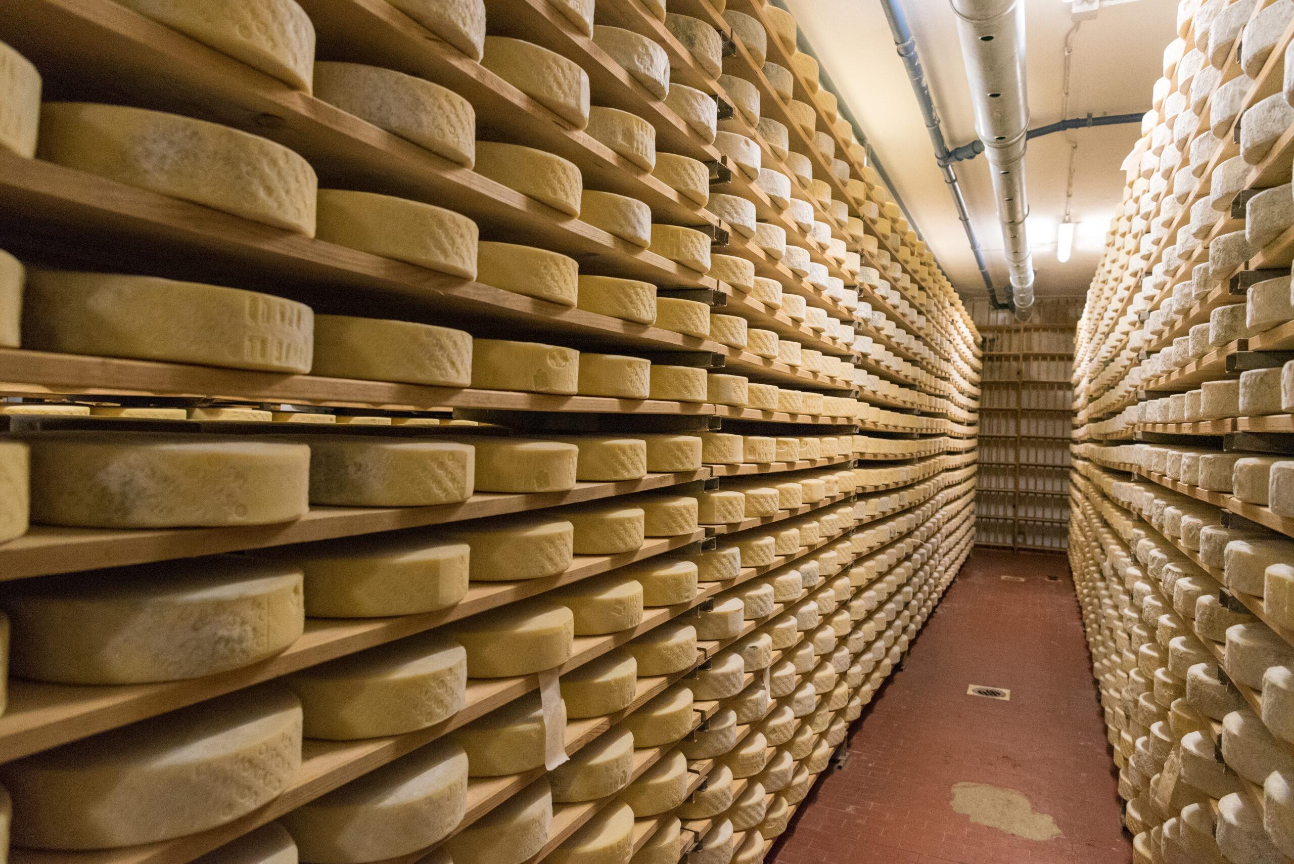 latteria sociale di coderno