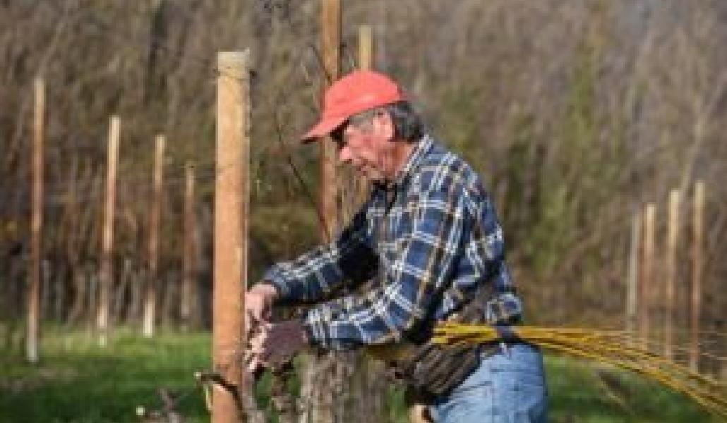azienda agricola di gaspero flavia e umberto