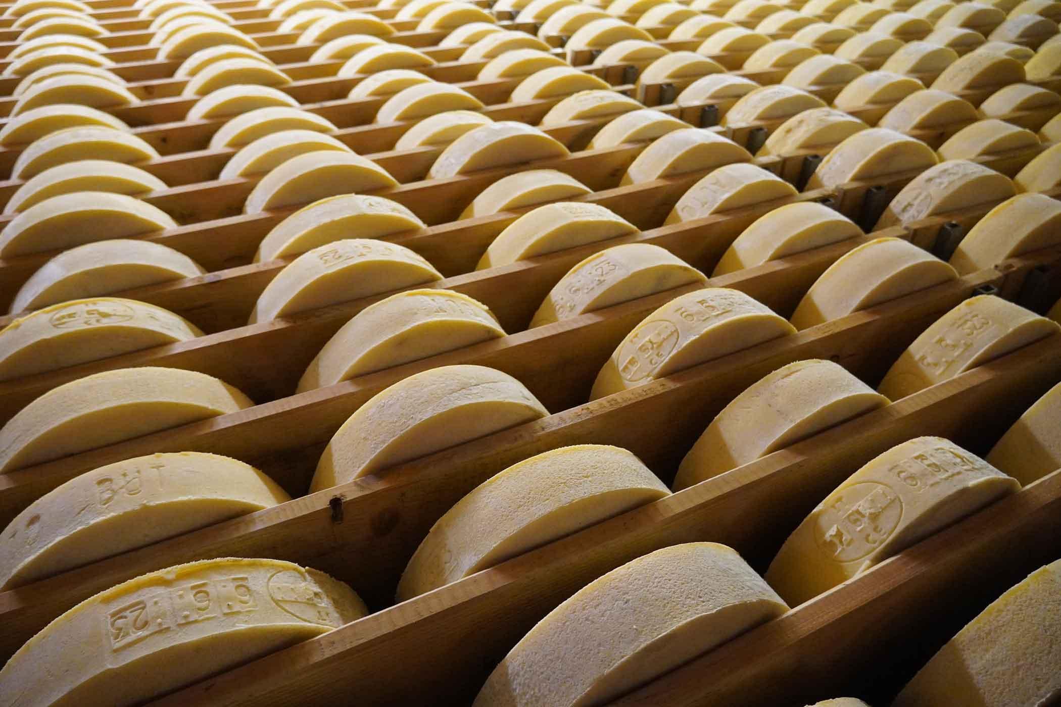 Deposito di formaggi latteria