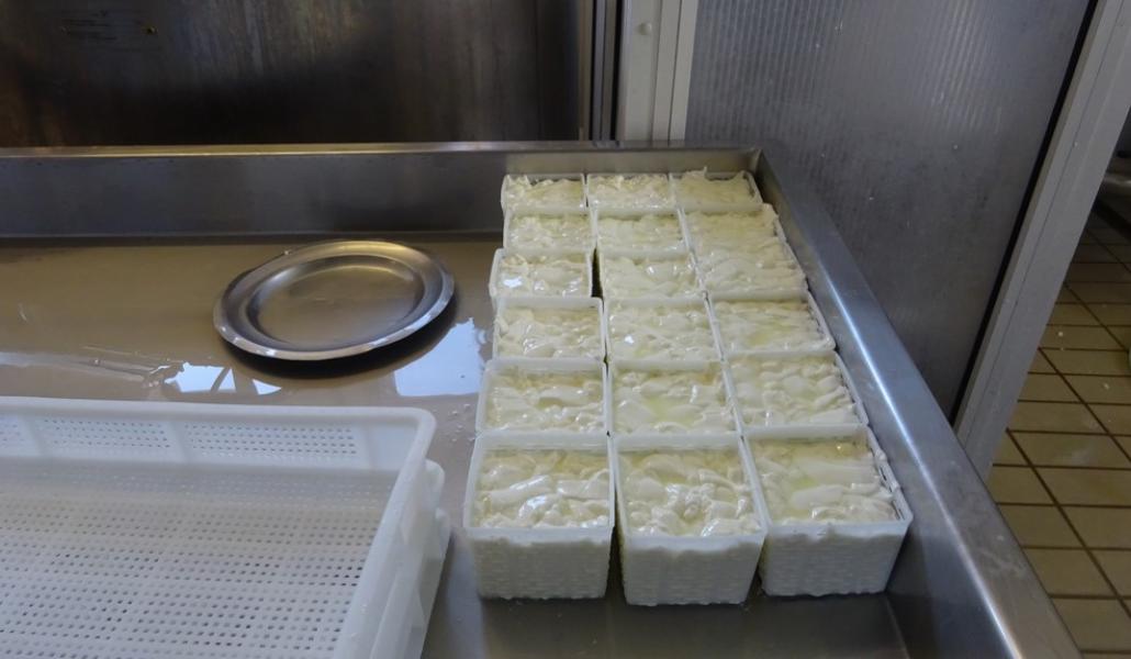 latteria sociale turnaria di lavariano