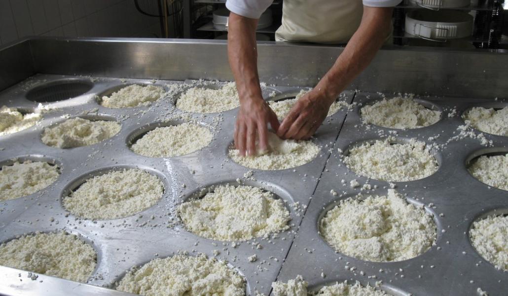 latteria sociale turnaria di lavariano