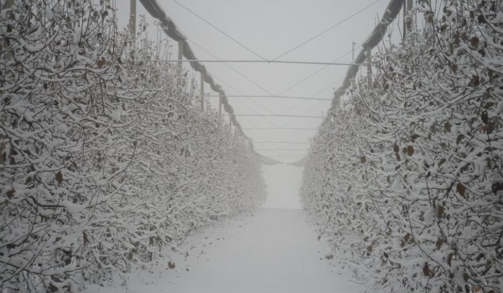 inverno malpaga kurt