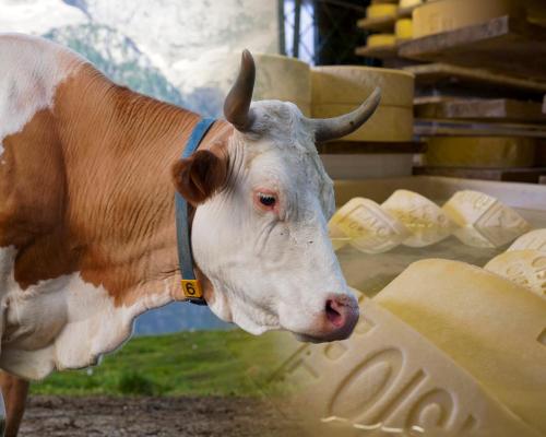 Associazione Allevatori del Friuli Venezia Giulia