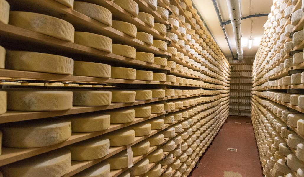 latteria sociale di coderno