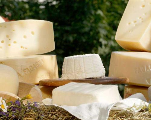 Formaggio Friulano, latteria di Borgo Paludo, Fagagna