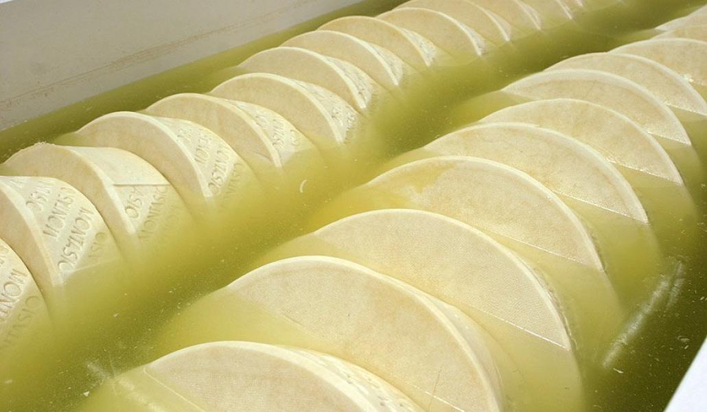 Montasio della Savia