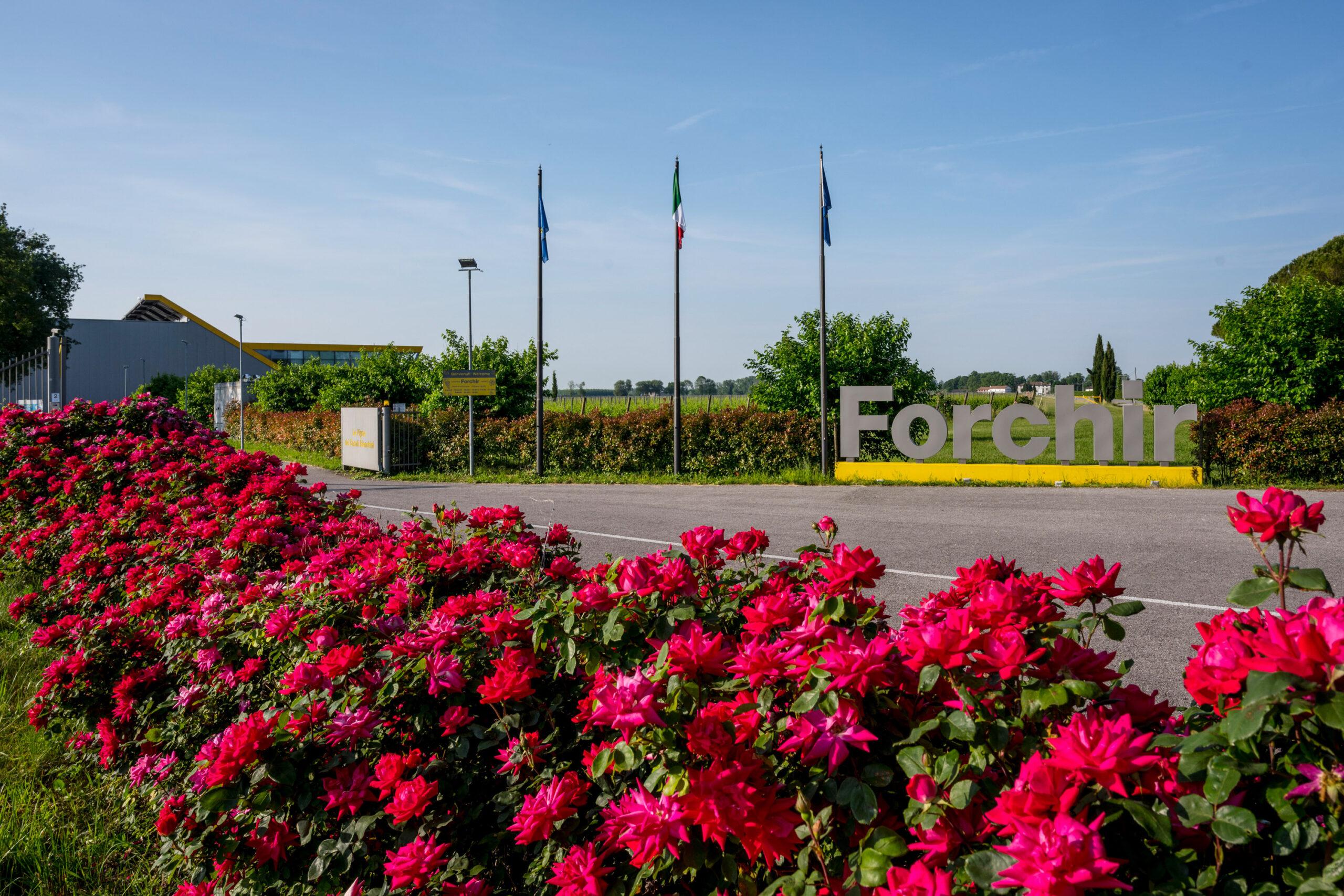 azienda forchir viticoltori in friuli