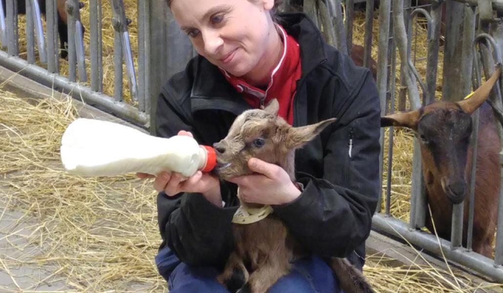 alessia berra azienda agricola zore