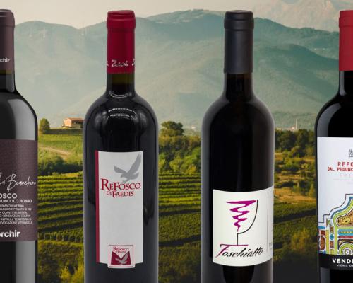 vini rossi friulani