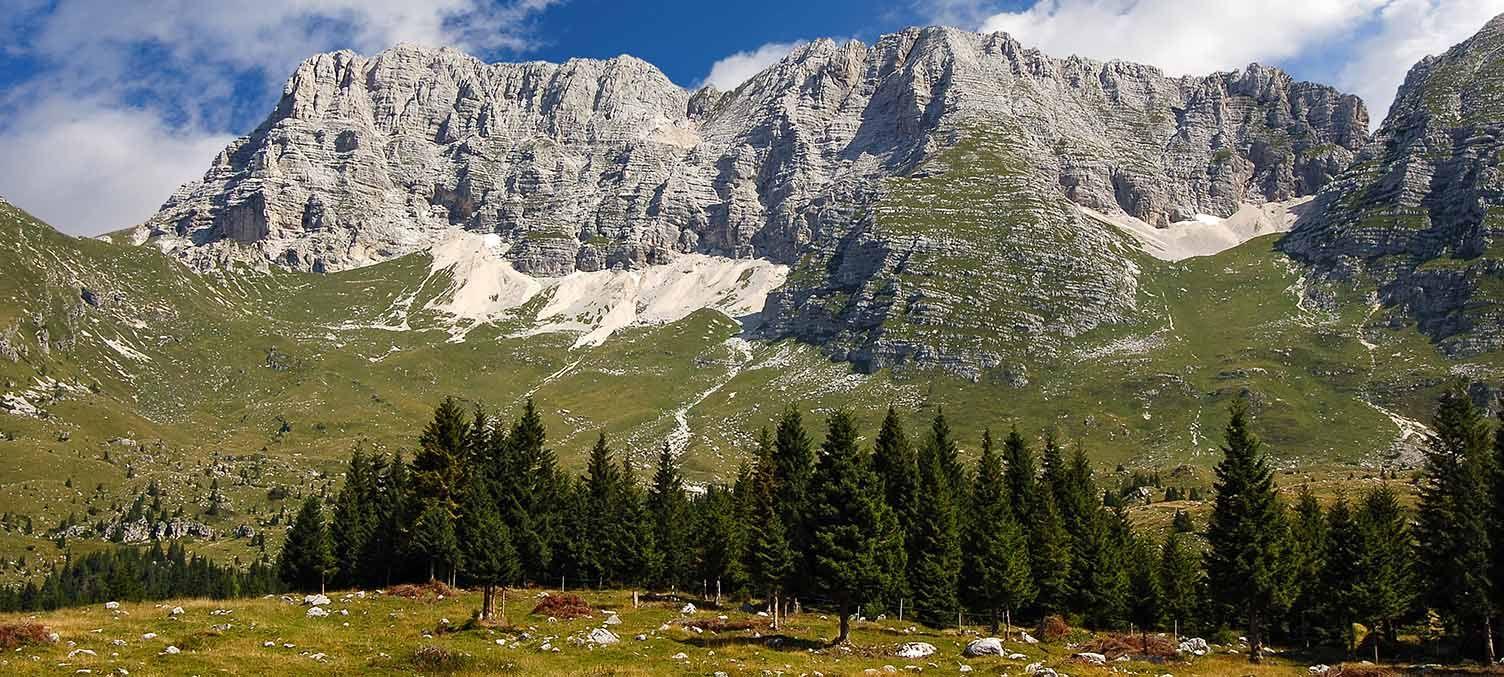 altopiano montasio dop