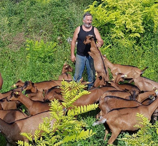 andrea zannier capramica