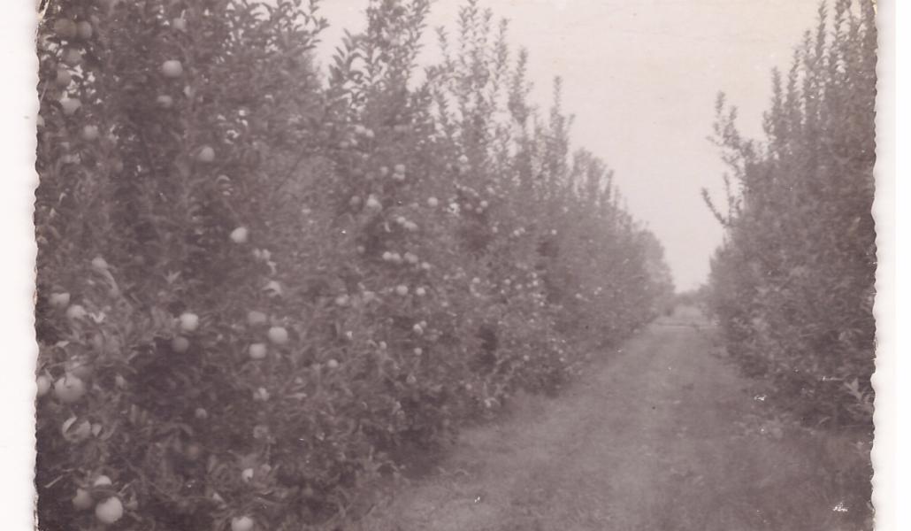 foto storia malpaga kurt