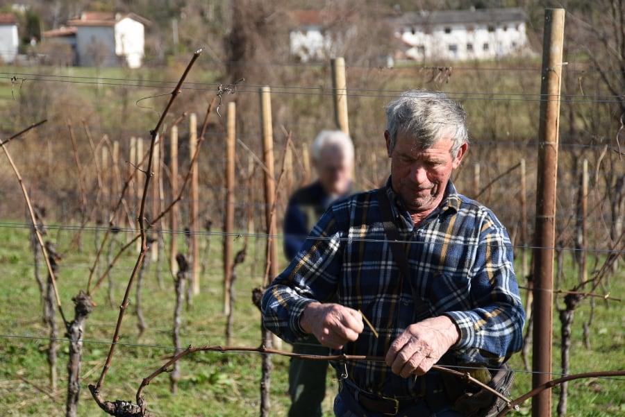 azienda agricola di gaspero flavia e umberto