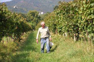 azienda agricola di gaspero flavia e umberto
