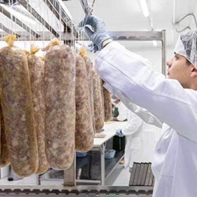 Laboratorio-Zecchini