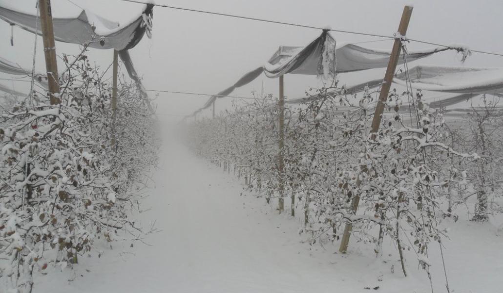 neve azienda agricola malpaga kurt