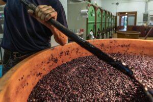 azienda agricola di gaspero flavia e umberto