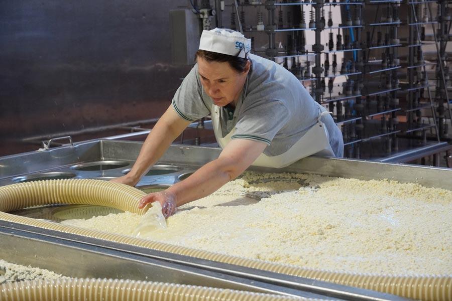 Patrizia Tomat Alto But