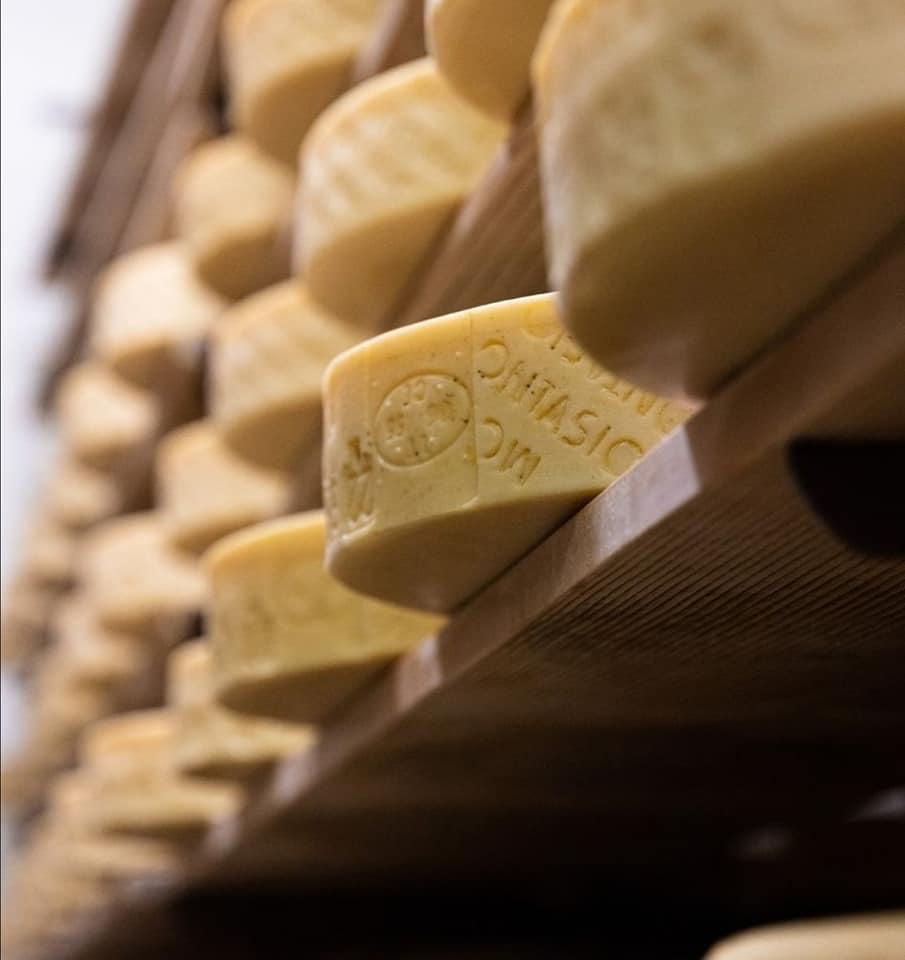 Montasio della Savia