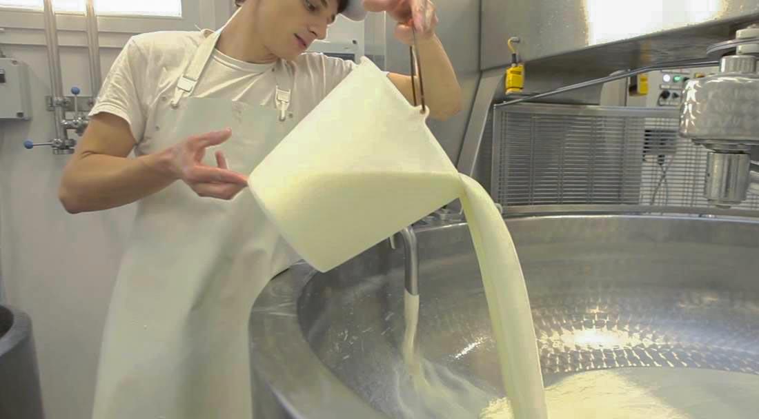 Casaro latteria castions