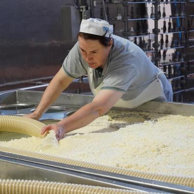 Patrizia Tomat Alto But