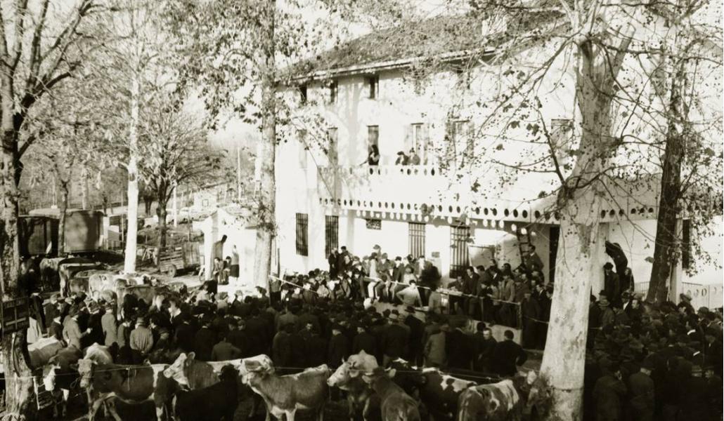 storia latteria turnaria di campolessi