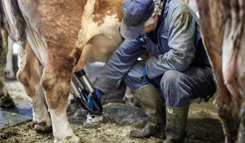 azienda agricola cabas simone