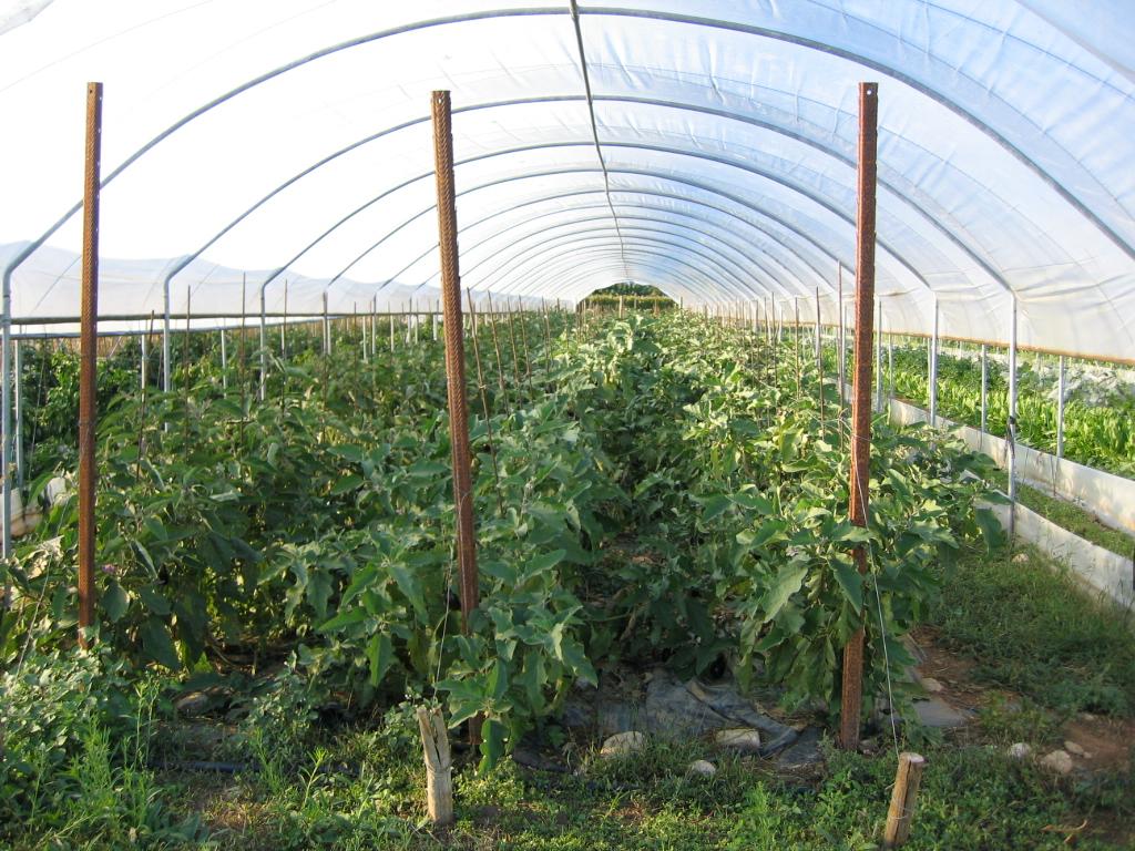 azienda agricola del zotto luca