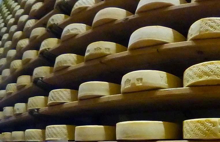 formaggi bio azienda agricola biologica la sisile