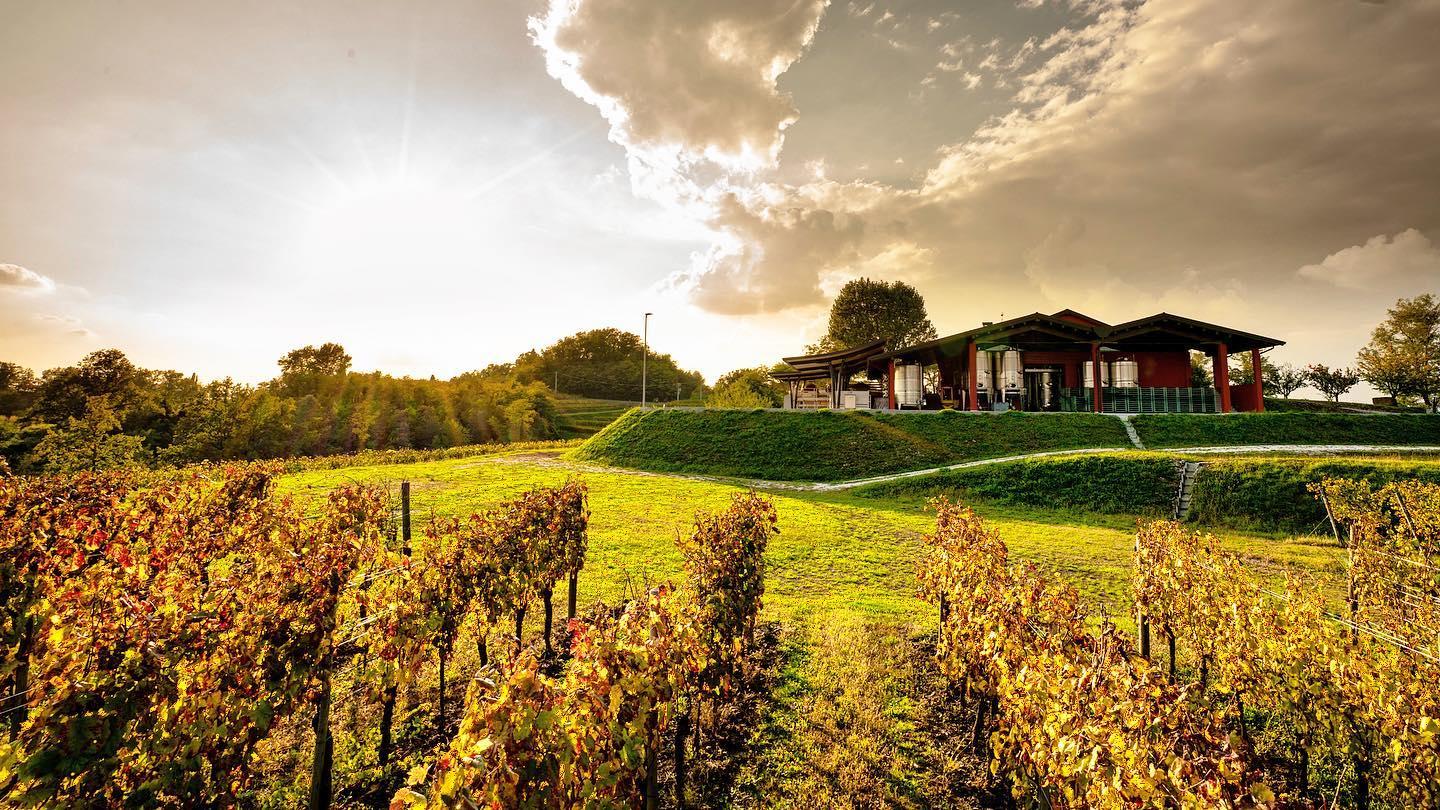 azienda ermacora dario e luciano