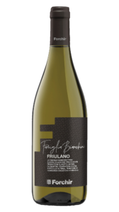 vino friulano