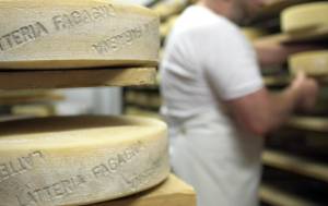 formaggio di fagagna