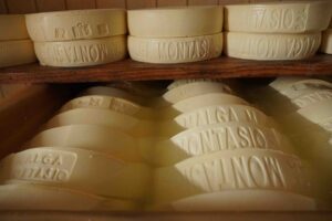 formaggio malgo montasio