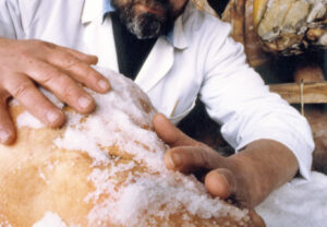 Lavorazione del prosciutto con sale marino italiano